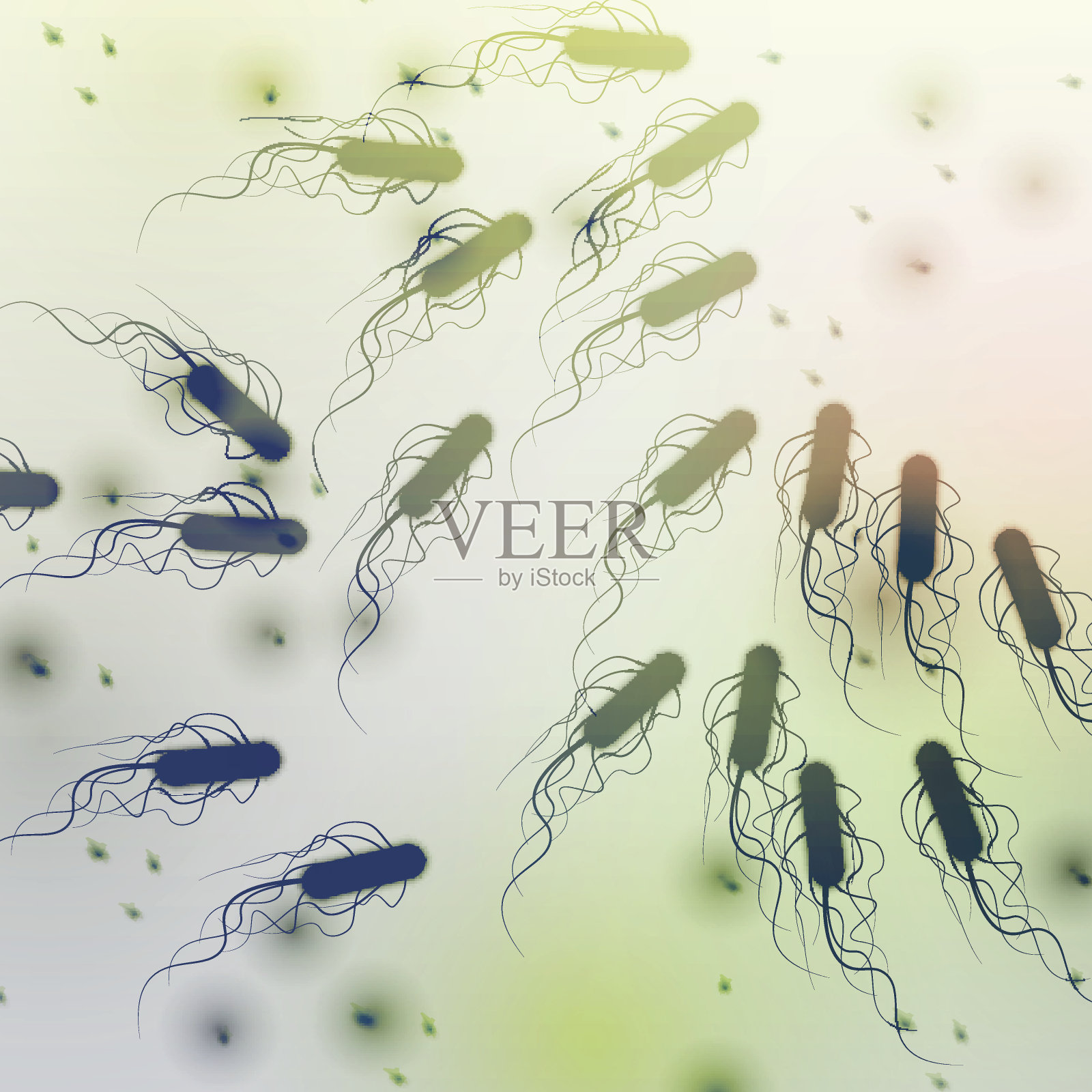 大肠杆菌组-载体插图插画图片素材