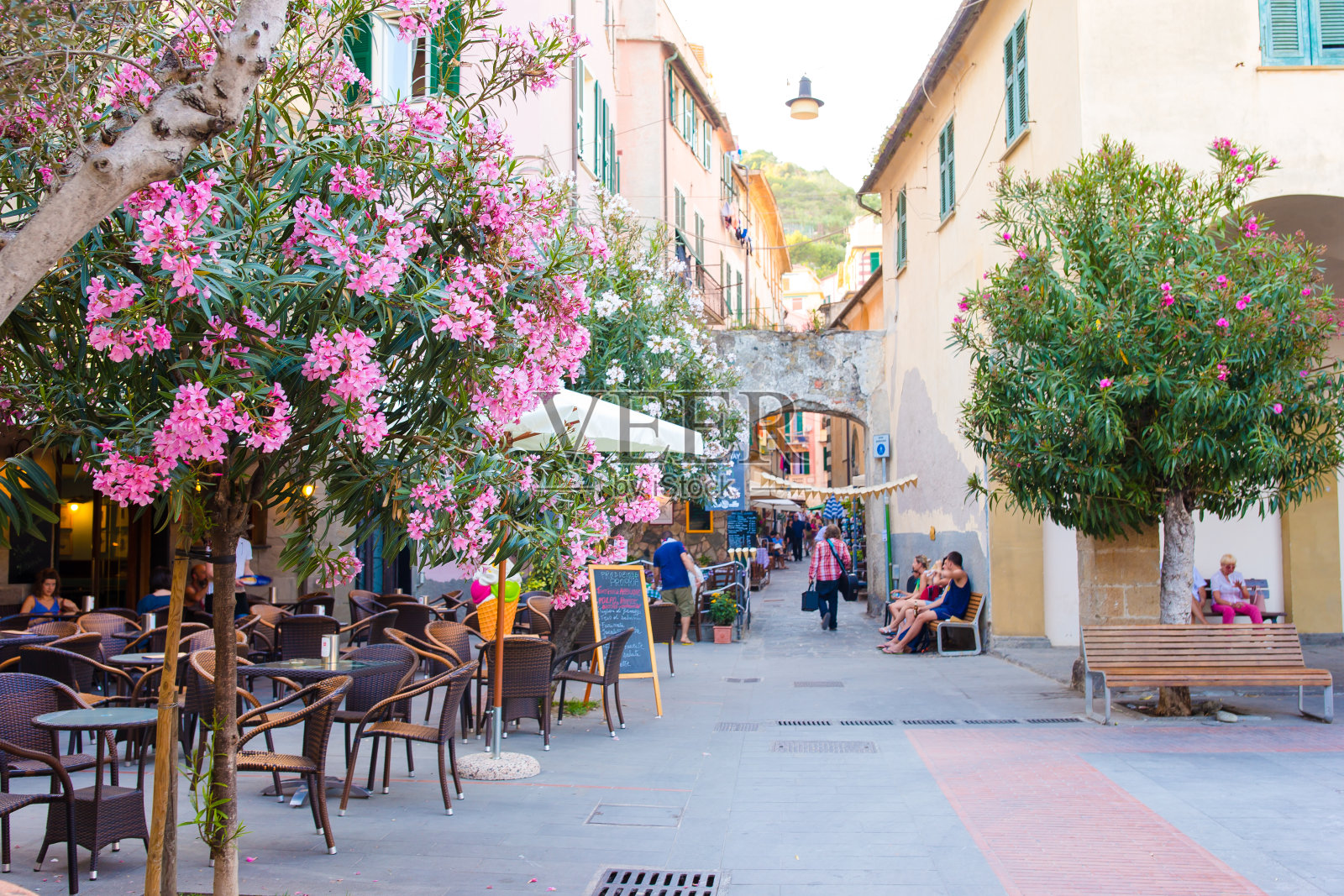 古老美丽的空旷狭窄的街道与美丽的花树在海滨村庄五Terre，意大利照片摄影图片
