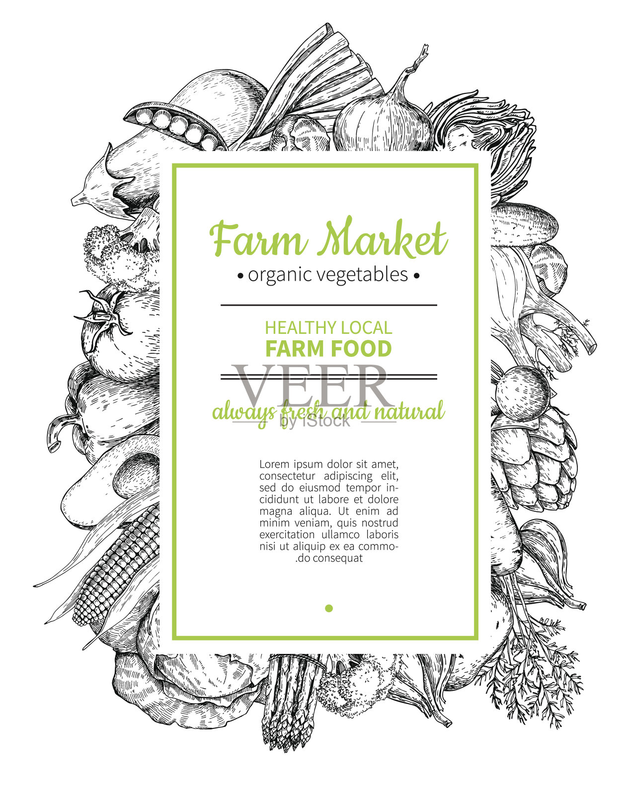 蔬菜手绘复古矢量框架插图。农业市场的海报。插画图片素材