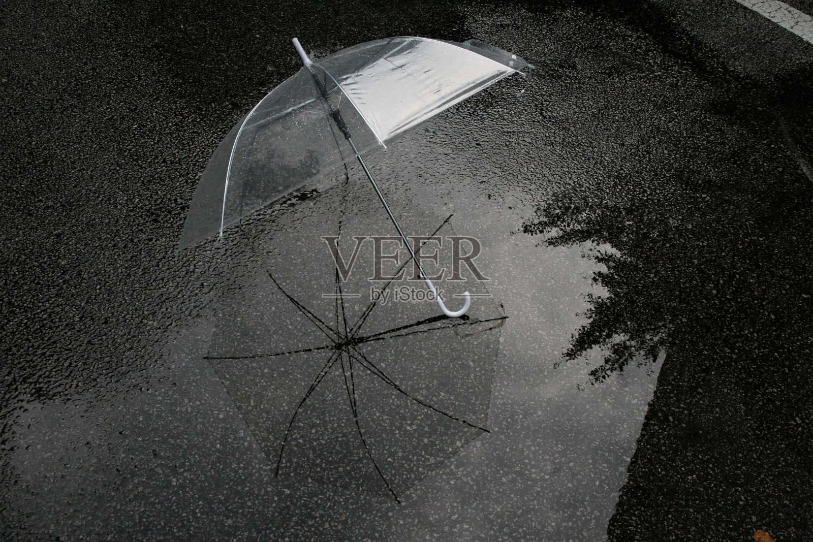透明伞在雨天照片摄影图片