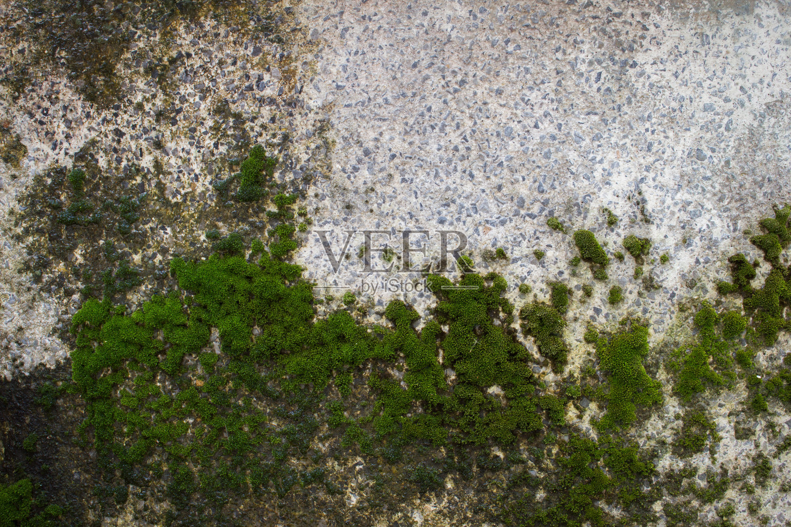 旧混凝土墙或旧大理石墙有污渍和苔藓真菌。照片摄影图片