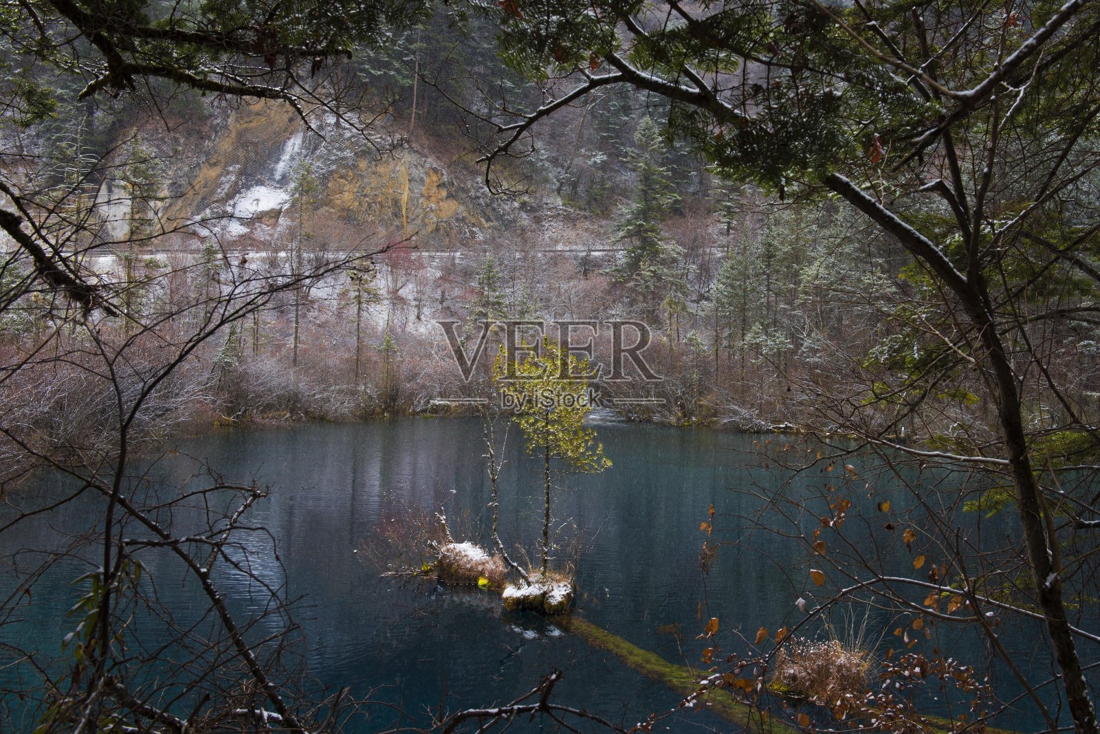 秋天森林里湖边的树木照片摄影图片