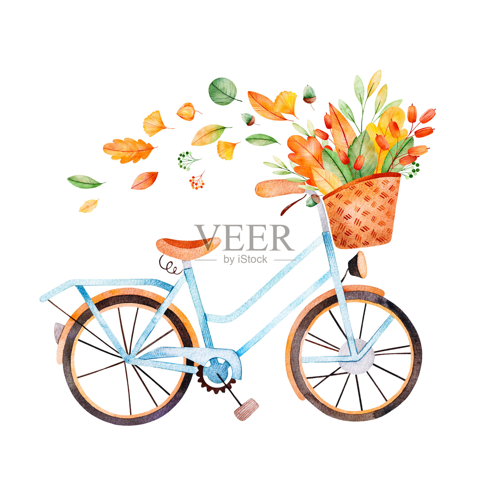 自行车与花束的落叶，橡果，浆果在篮子里设计元素图片