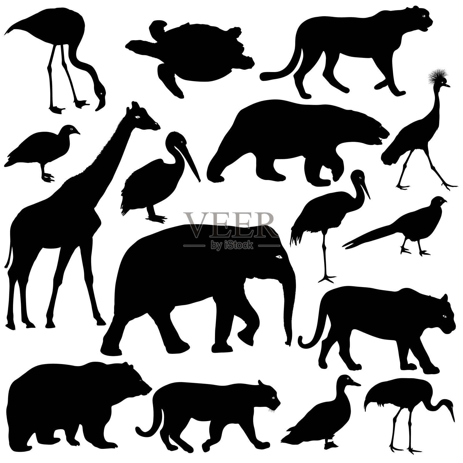 轮廓象，老虎，熊，长颈鹿，火烈鸟，鹈鹕鹅在白色的背景上插画图片素材