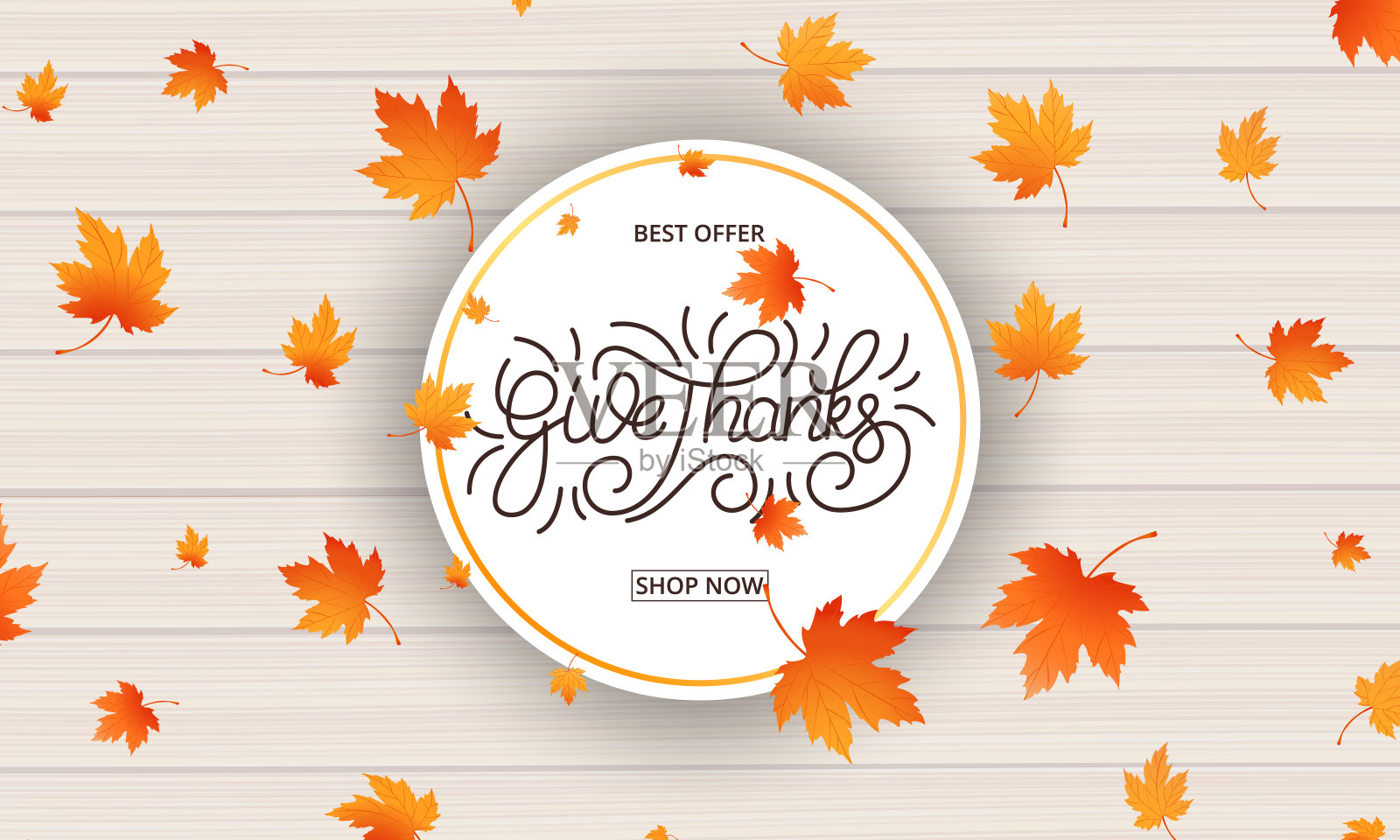 感恩节卡片。感谢书法和落叶木背景。感恩节的横幅设计元素图片
