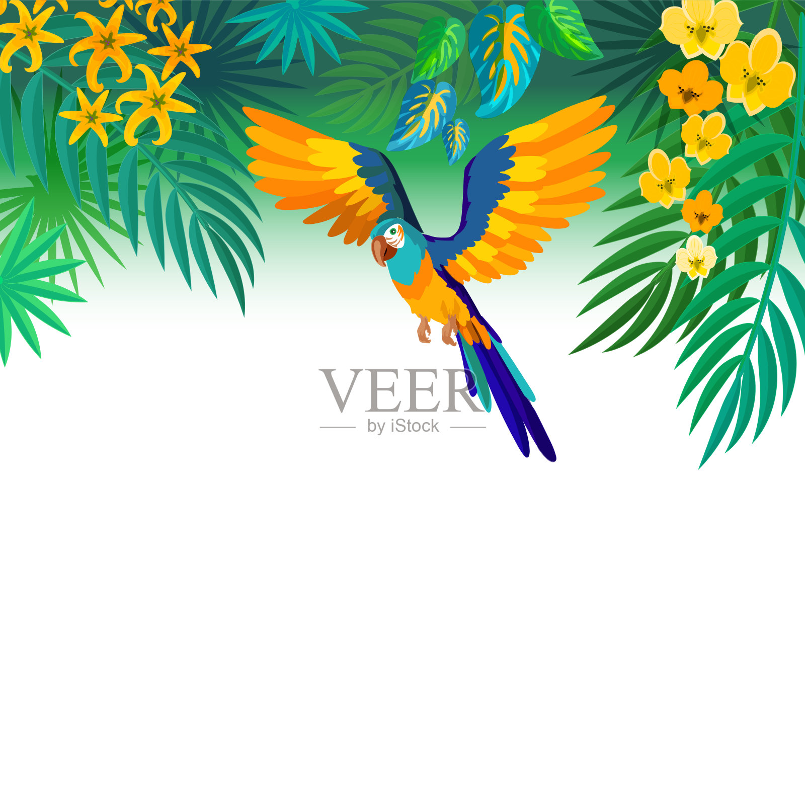 热带阿拉鹦鹉飞行。白色背景上的棕榈叶和外来植物。卡通矢量插图。插画图片素材