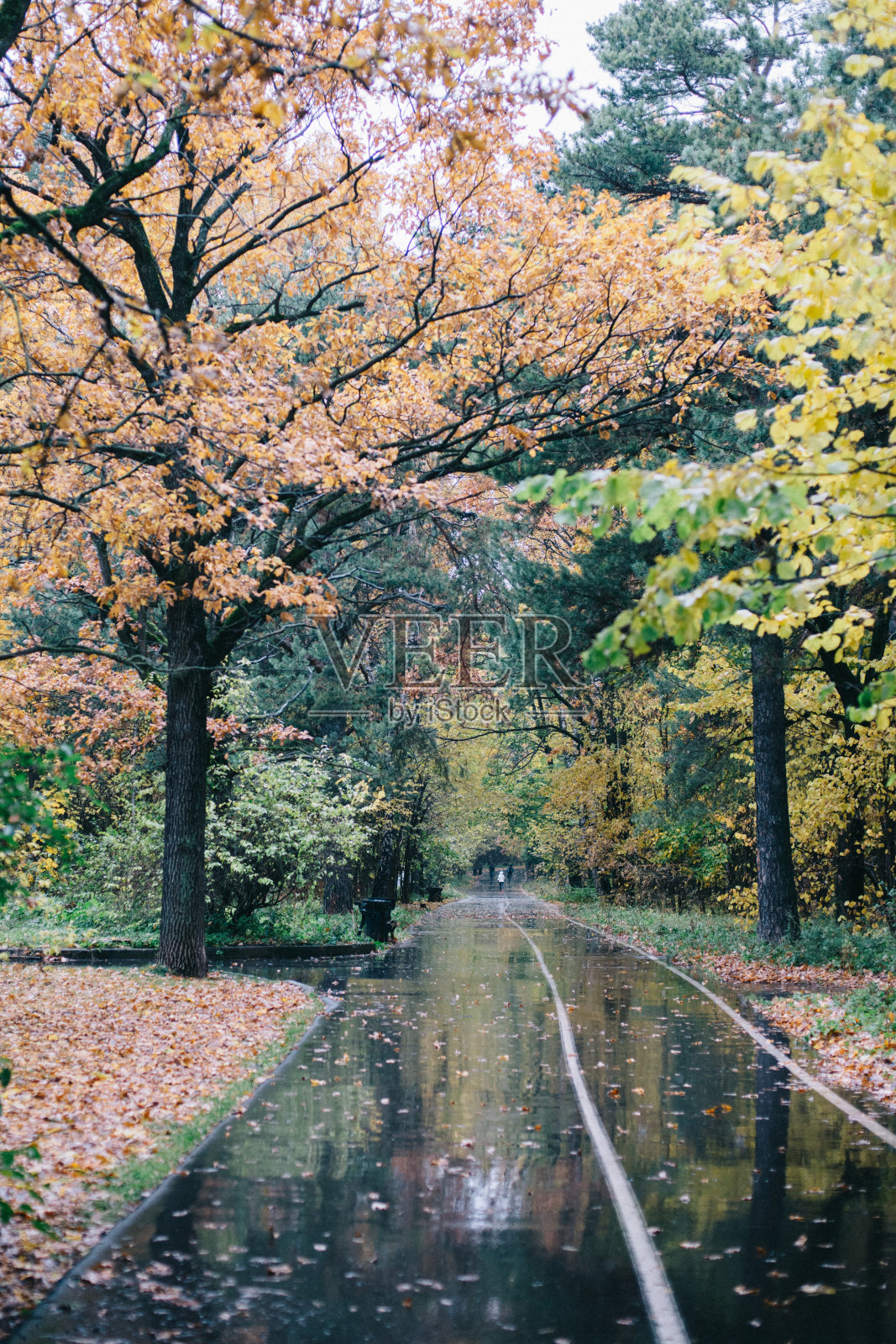 秋天的公园景观照片摄影图片