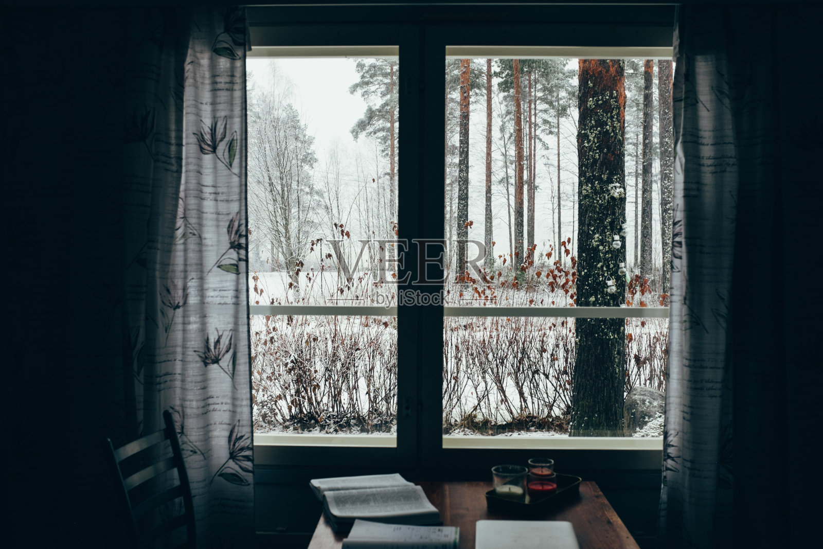 从冬季森林的窗口看到的景色照片摄影图片
