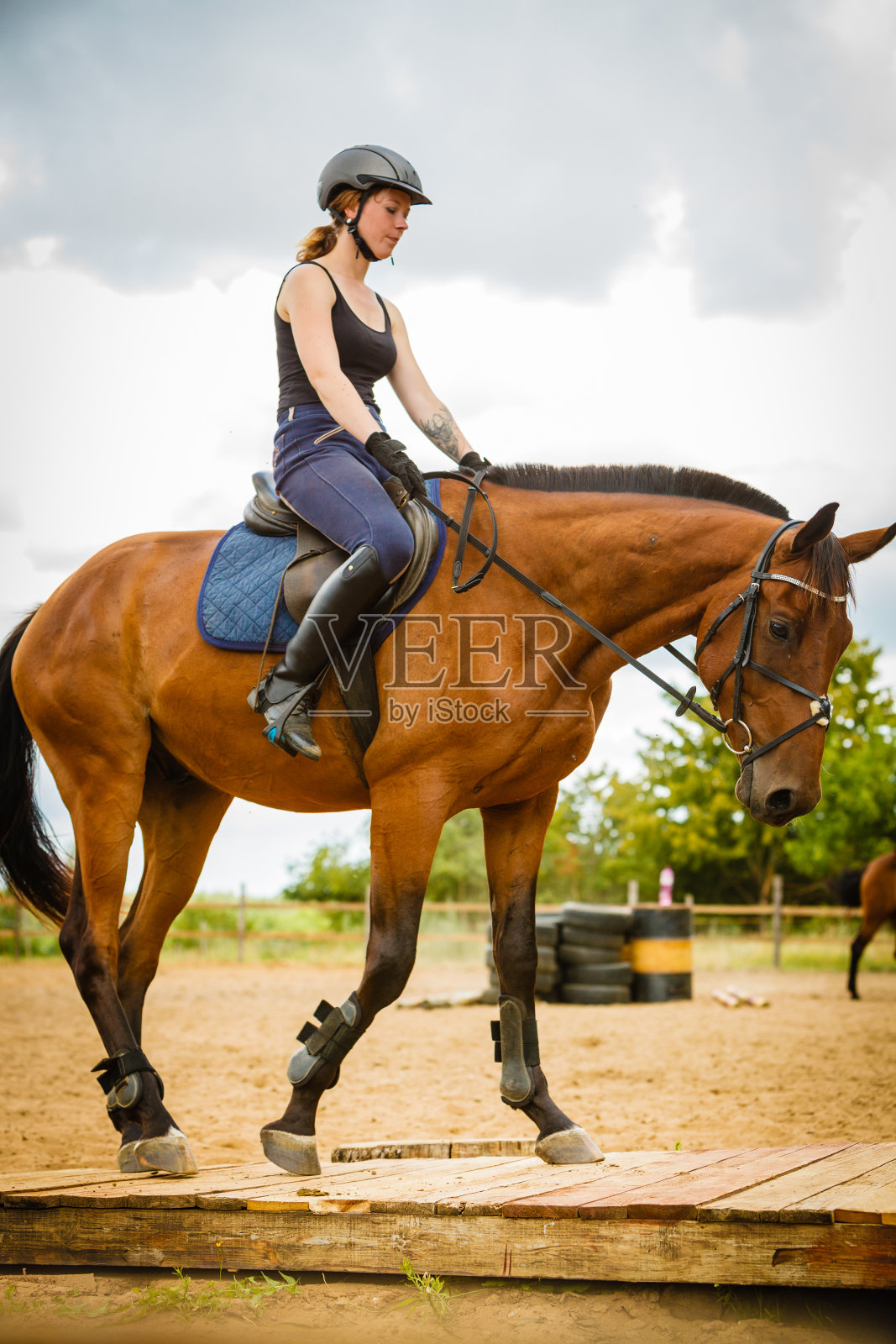 骑师女孩在乡村草地上骑马照片摄影图片