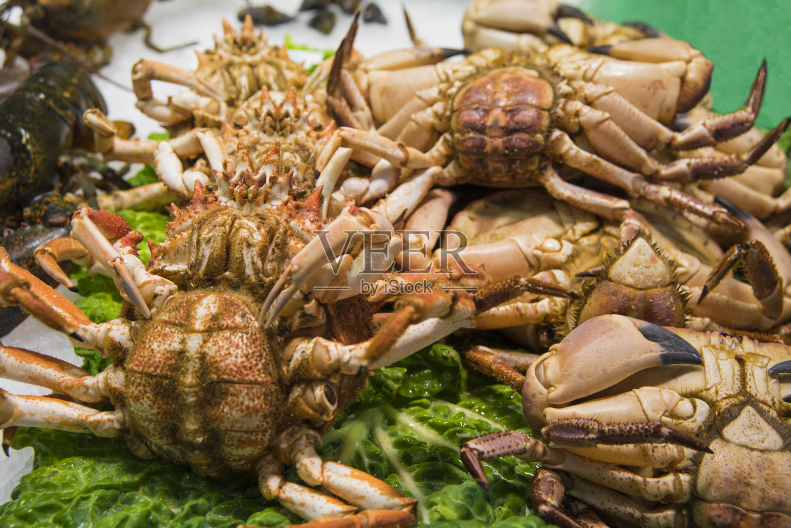 巴塞罗那，La Boqueria市场的活螃蟹摊照片摄影图片