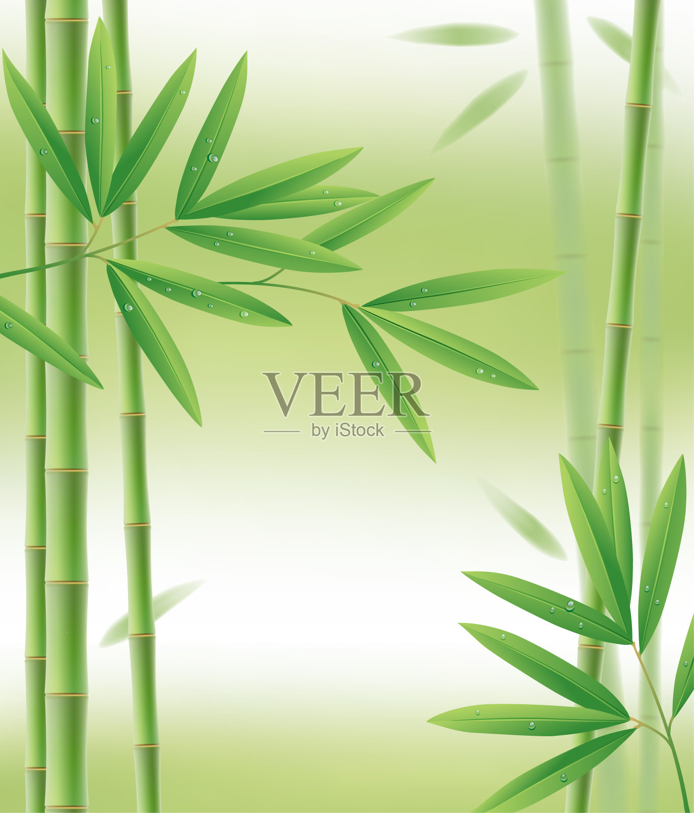 绿色竹框架，茎和叶在白色设计元素图片
