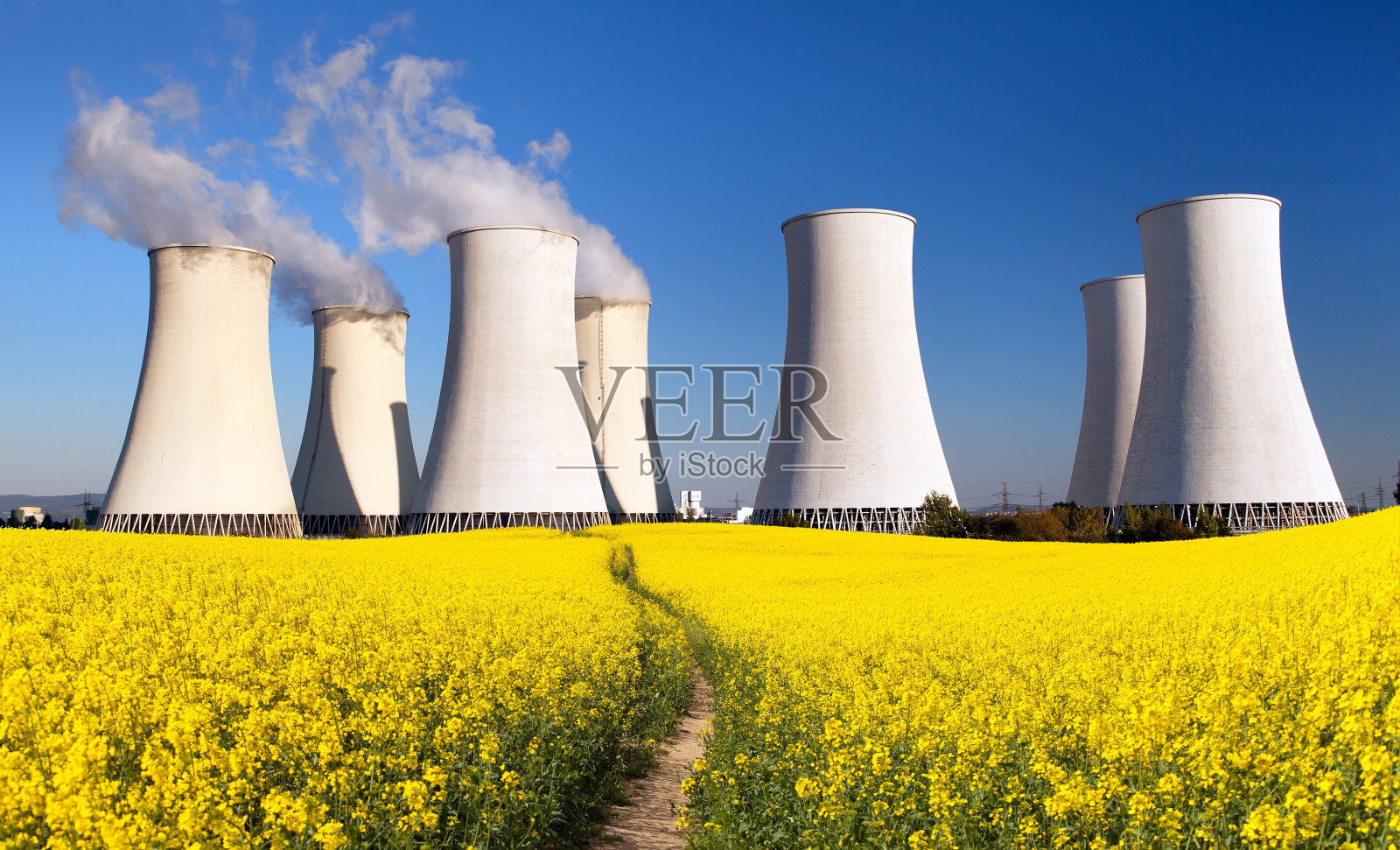 核电站、冷却塔、油菜籽田照片摄影图片