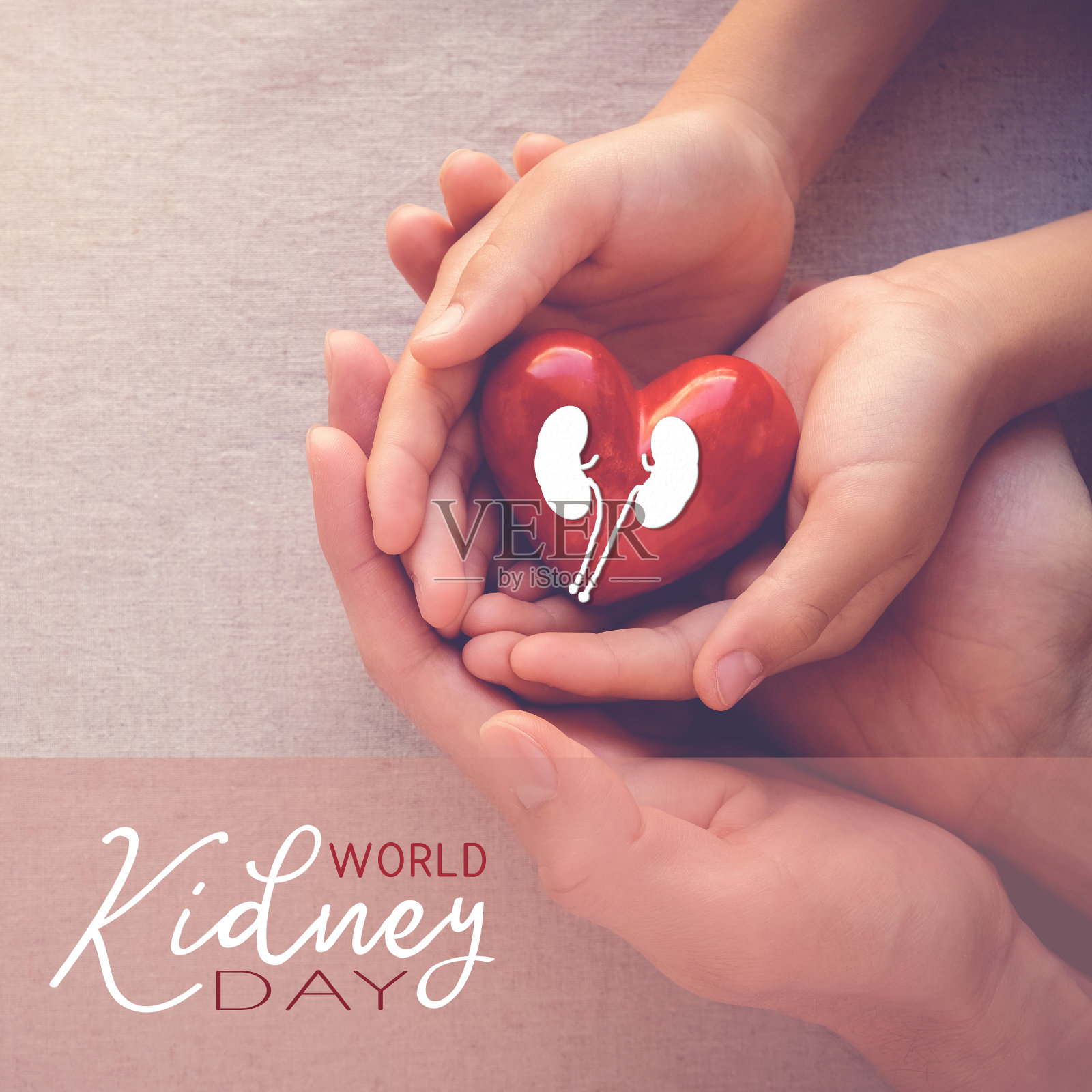 世界肾脏日，成人和儿童双手庆祝红心节照片摄影图片