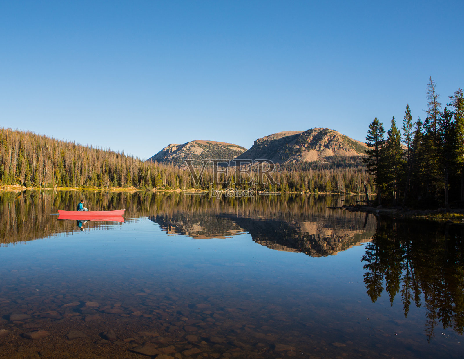 镜湖上的红独木舟照片摄影图片