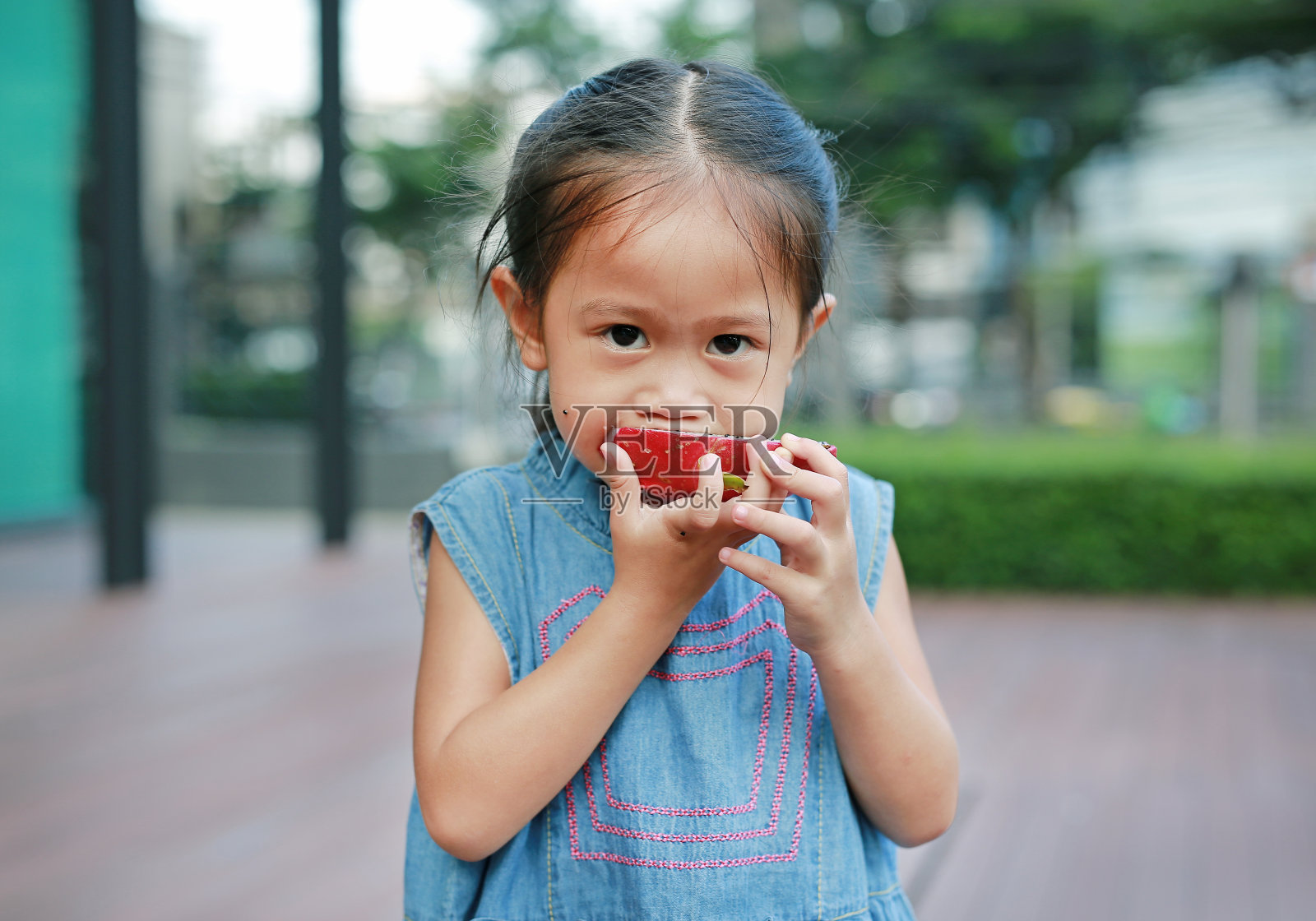 小女孩在公园里吃火龙果片。照片摄影图片