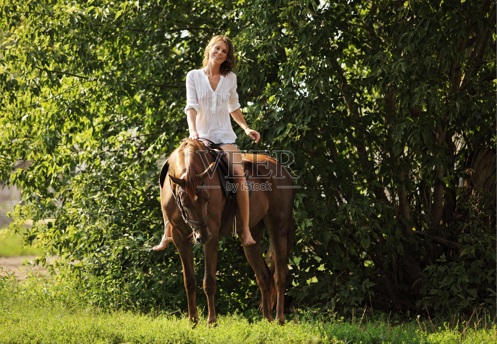 年轻迷人的女人在马背上放松照片摄影图片