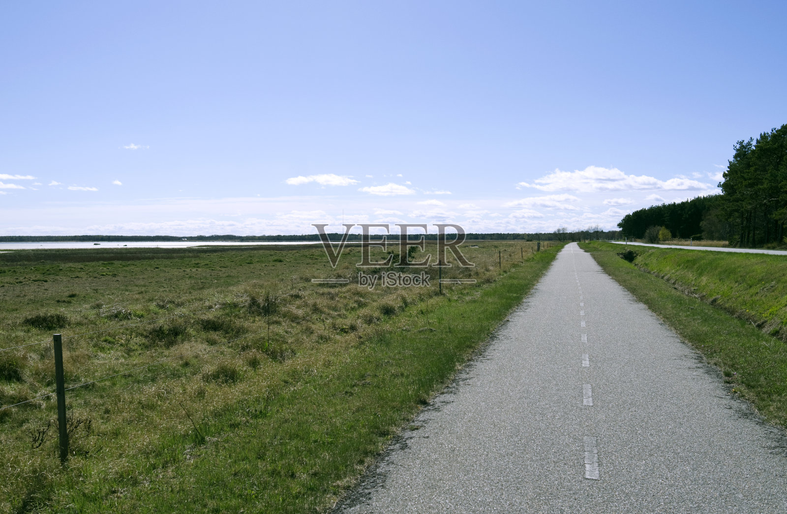 丹麦:在Bovet Bugt的盐沼边上的人行道和自行车道照片摄影图片