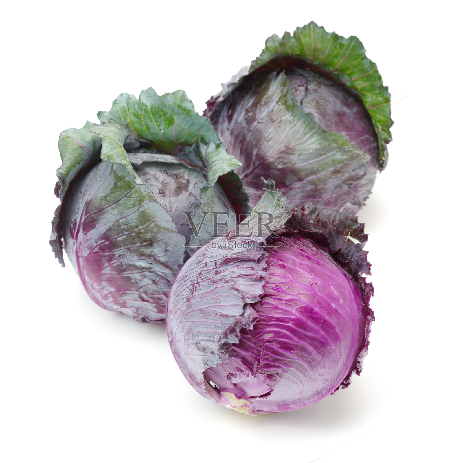 孤立在白色背景上的紫色卷心菜照片摄影图片