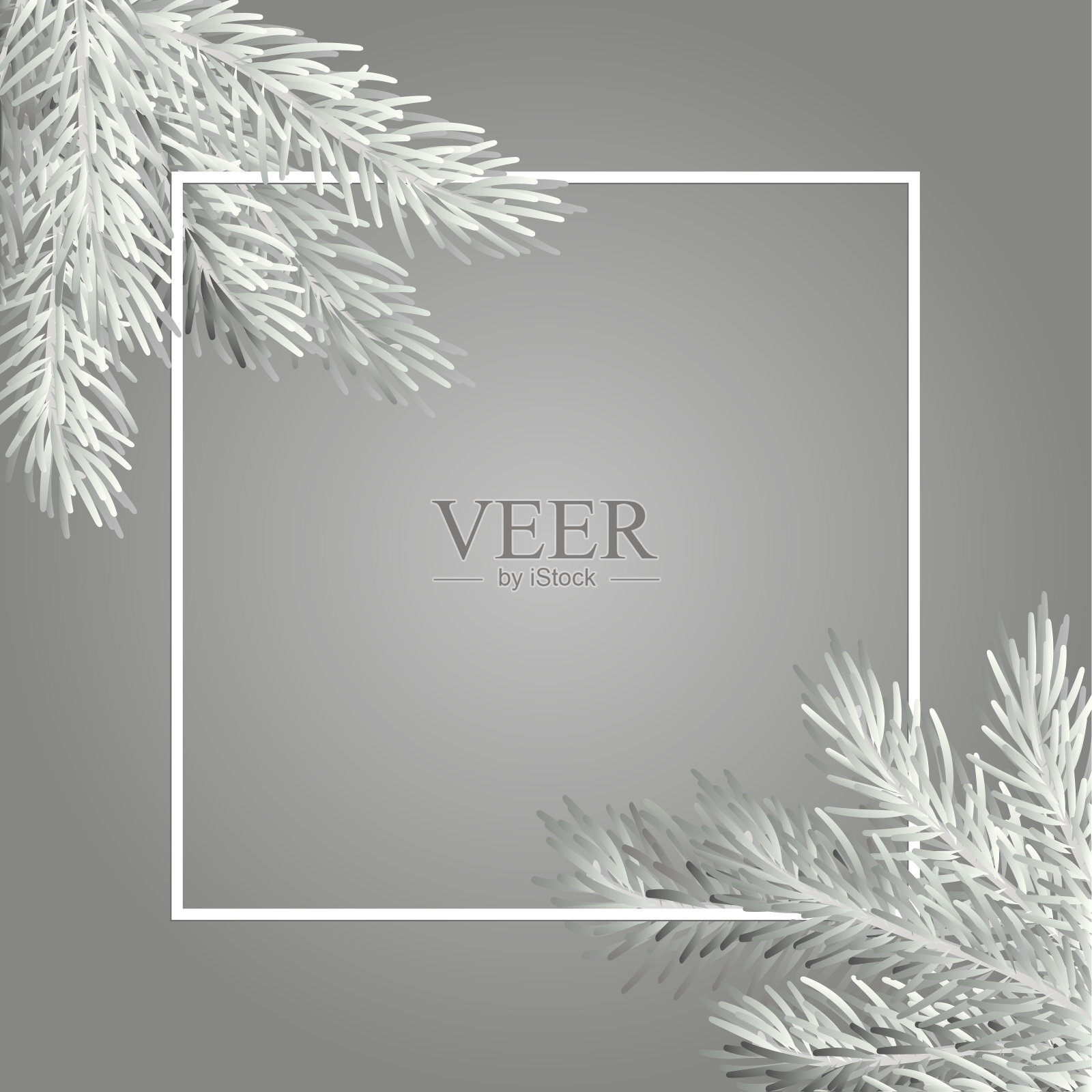 白色的圣诞树枝与一个方形框架在一个灰色的背景。圣诞快乐和新年快乐的背景海报，传单，横幅和封面的日历2018。插画图片素材