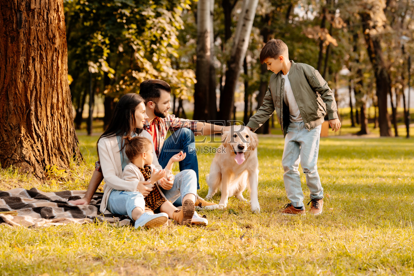 一家人在公园里和狗玩耍照片摄影图片