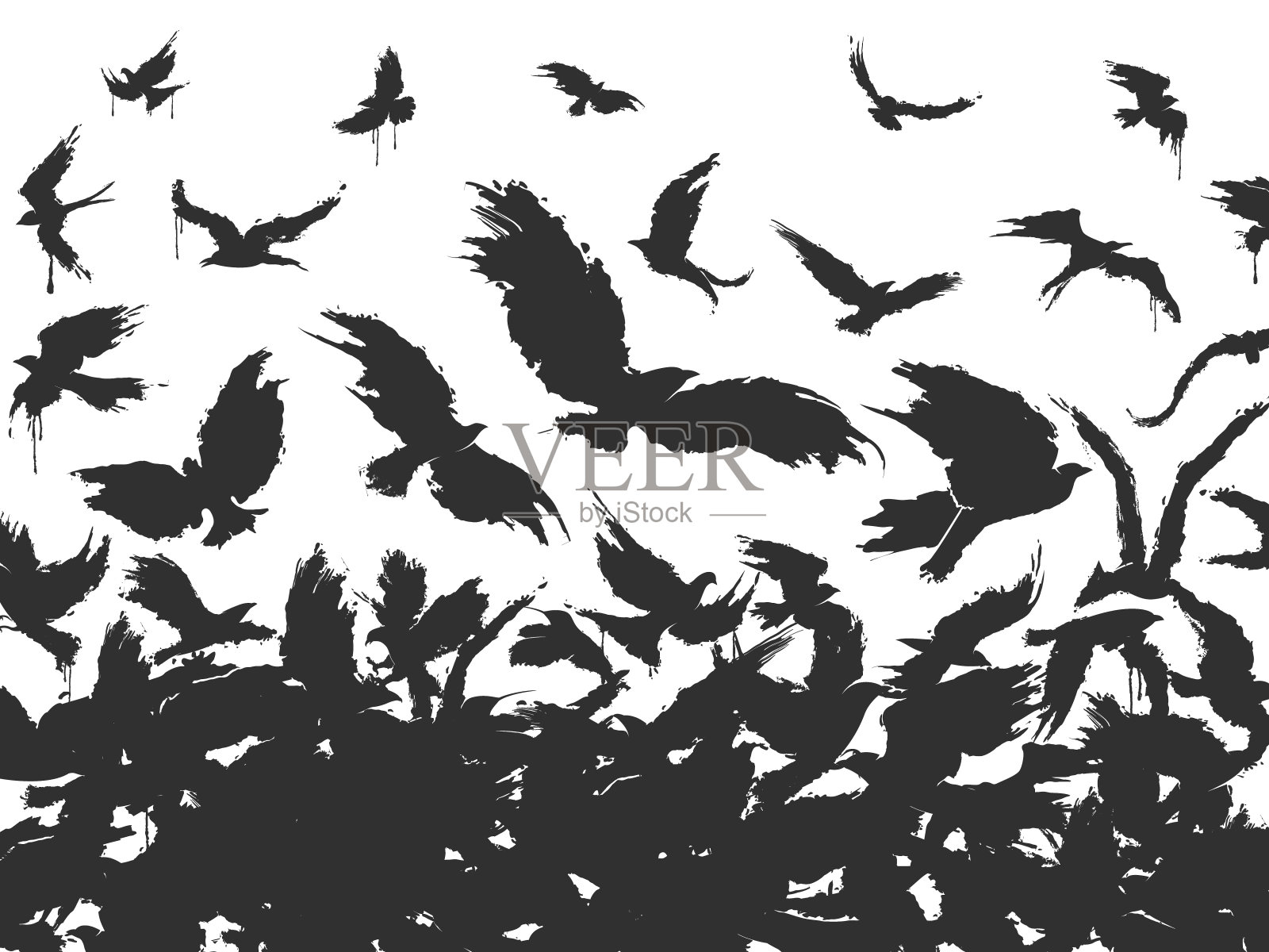 一群黑衣白底的鸟插画图片素材