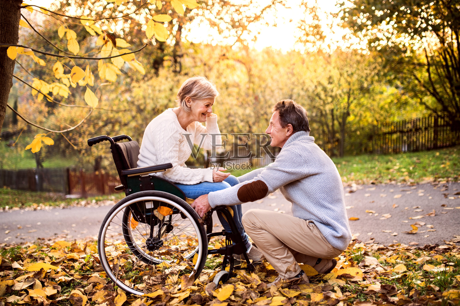 轮椅上的老年夫妇在秋天的大自然中。照片摄影图片