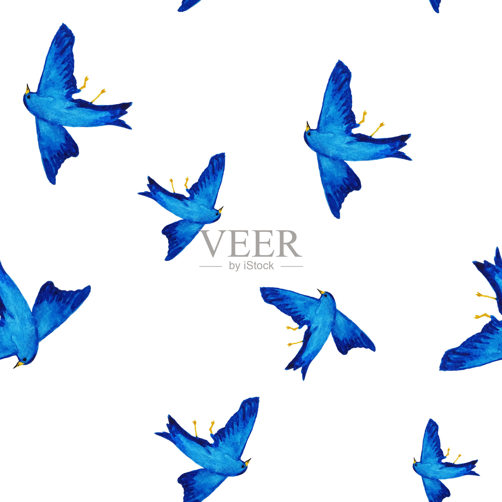 蓝鸟水彩图案插画图片素材