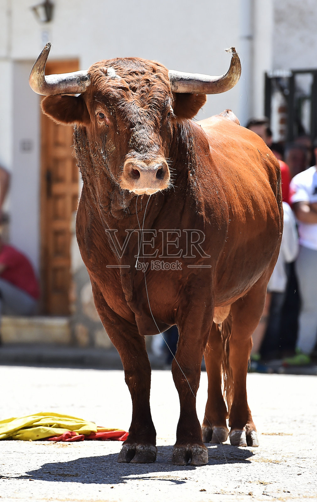 西班牙斗牛照片摄影图片