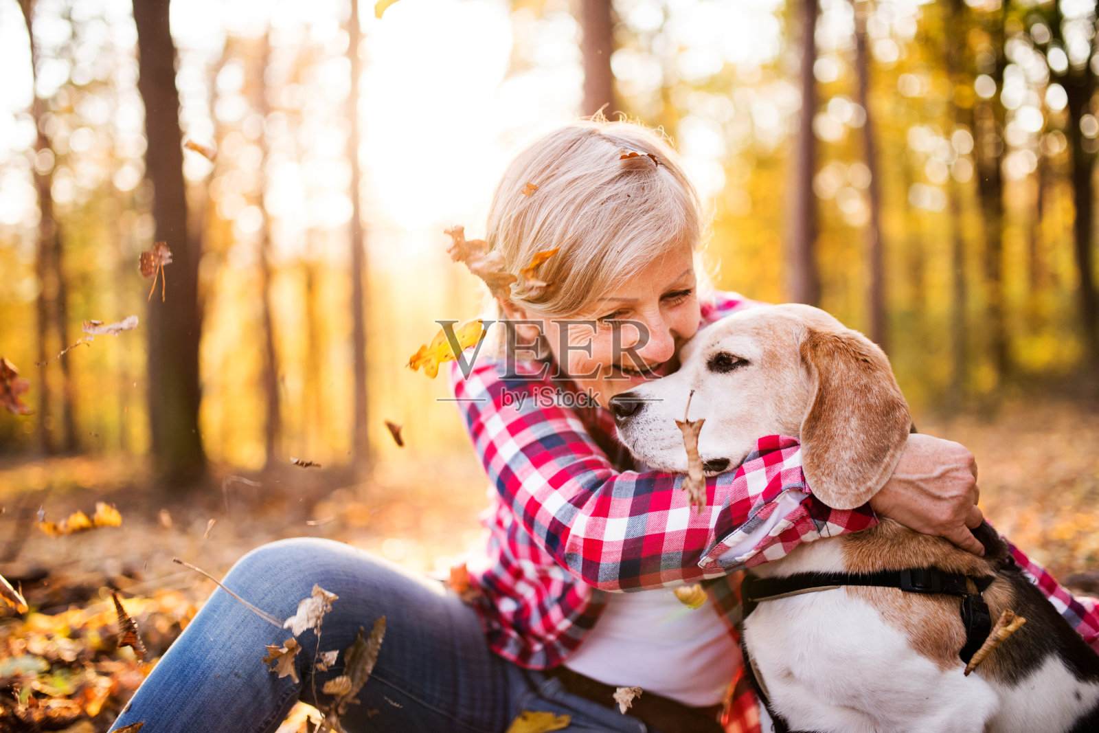 一位年长的女士带着狗在秋天的森林里散步。照片摄影图片