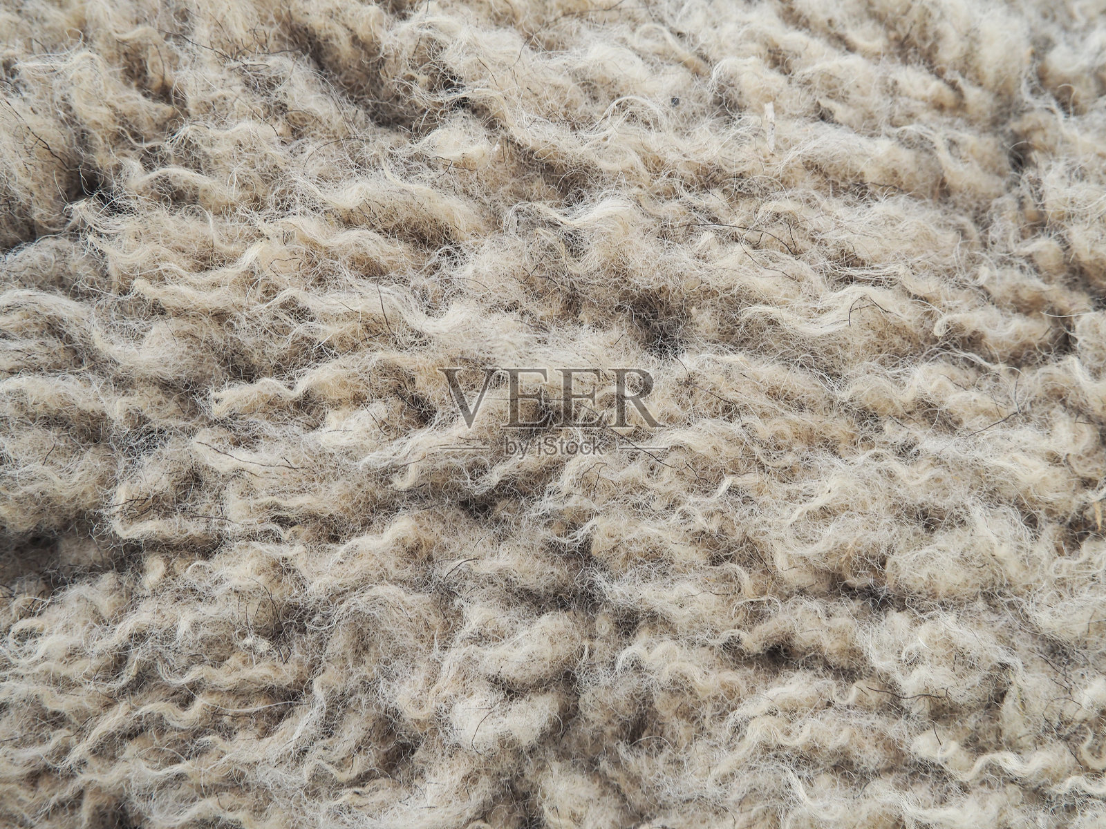 羊皮的背景。羊皮毛纹理。宏。结构为灰色野生绵羊的羊毛，天然的底毛，羊毛照片摄影图片