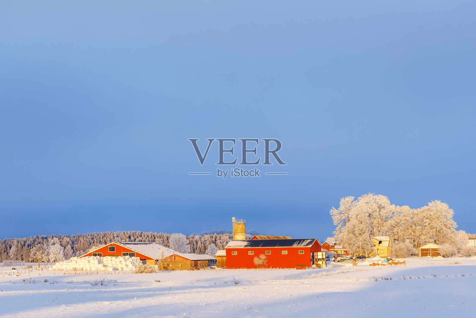 农场建筑在冬天的景色中，有雪和冬天的光线照片摄影图片