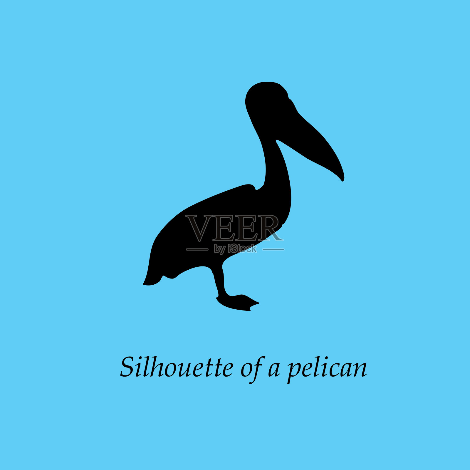 鹈鹕的黑色侧影，单腿站立。在明亮的蓝色、绿松石色背景上的鸟的环状鳍。设计元素图片
