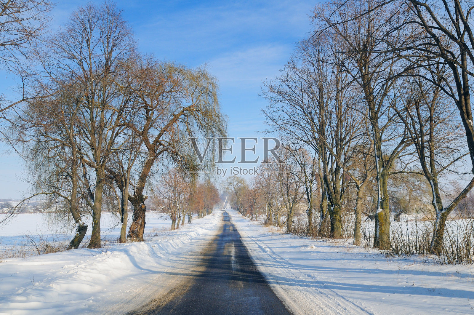 冬天的道路穿过白雪覆盖的田野和树林。照片摄影图片