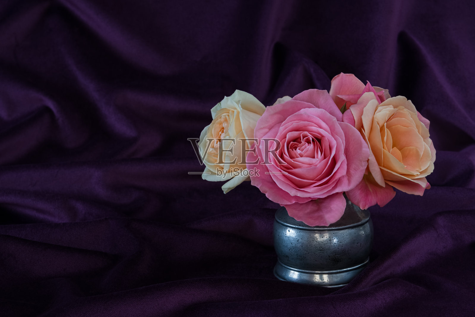 银壶里的玫瑰花照片摄影图片