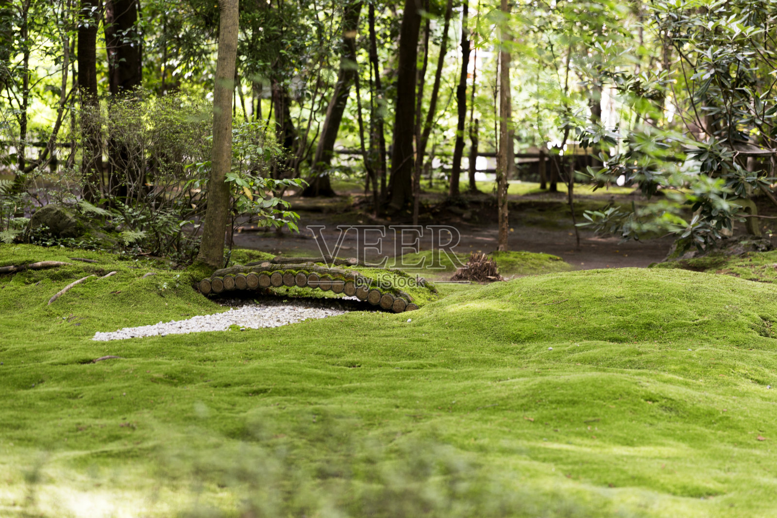 日本著名的禅宗花园照片摄影图片