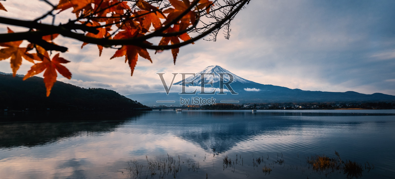 秋天的富士山:从川口湖看。照片摄影图片