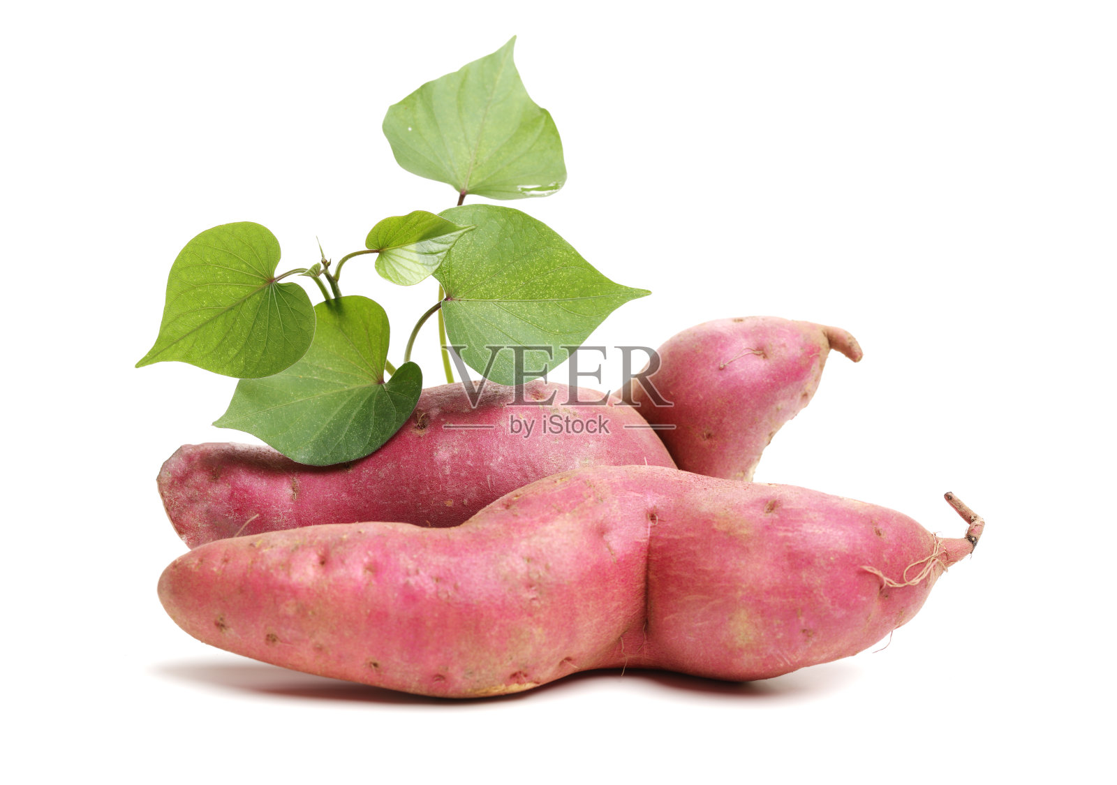 红薯和叶子(库马拉)孤立在白色的背景照片摄影图片