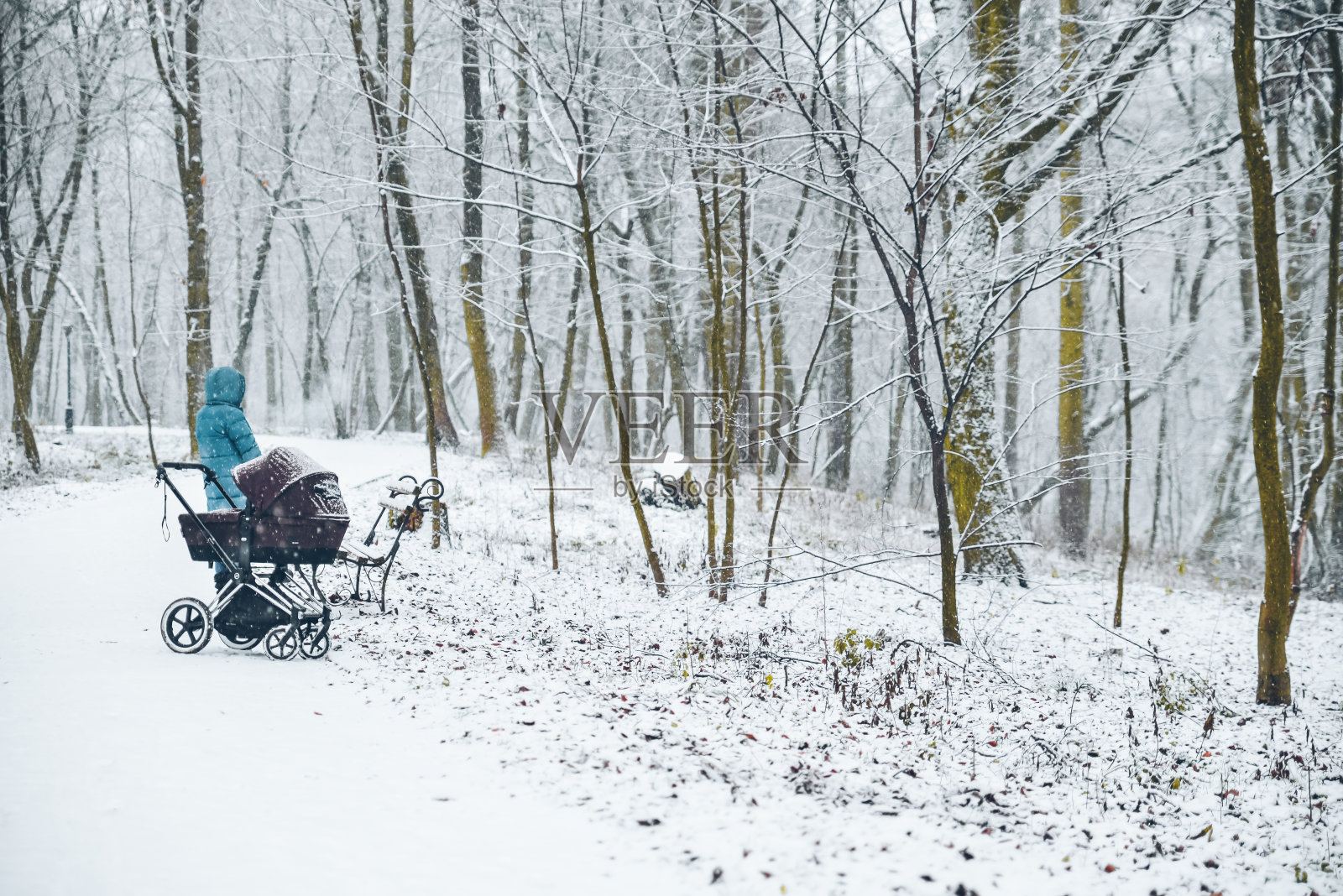 母亲和孩子在婴儿车里在冬季公园散步照片摄影图片
