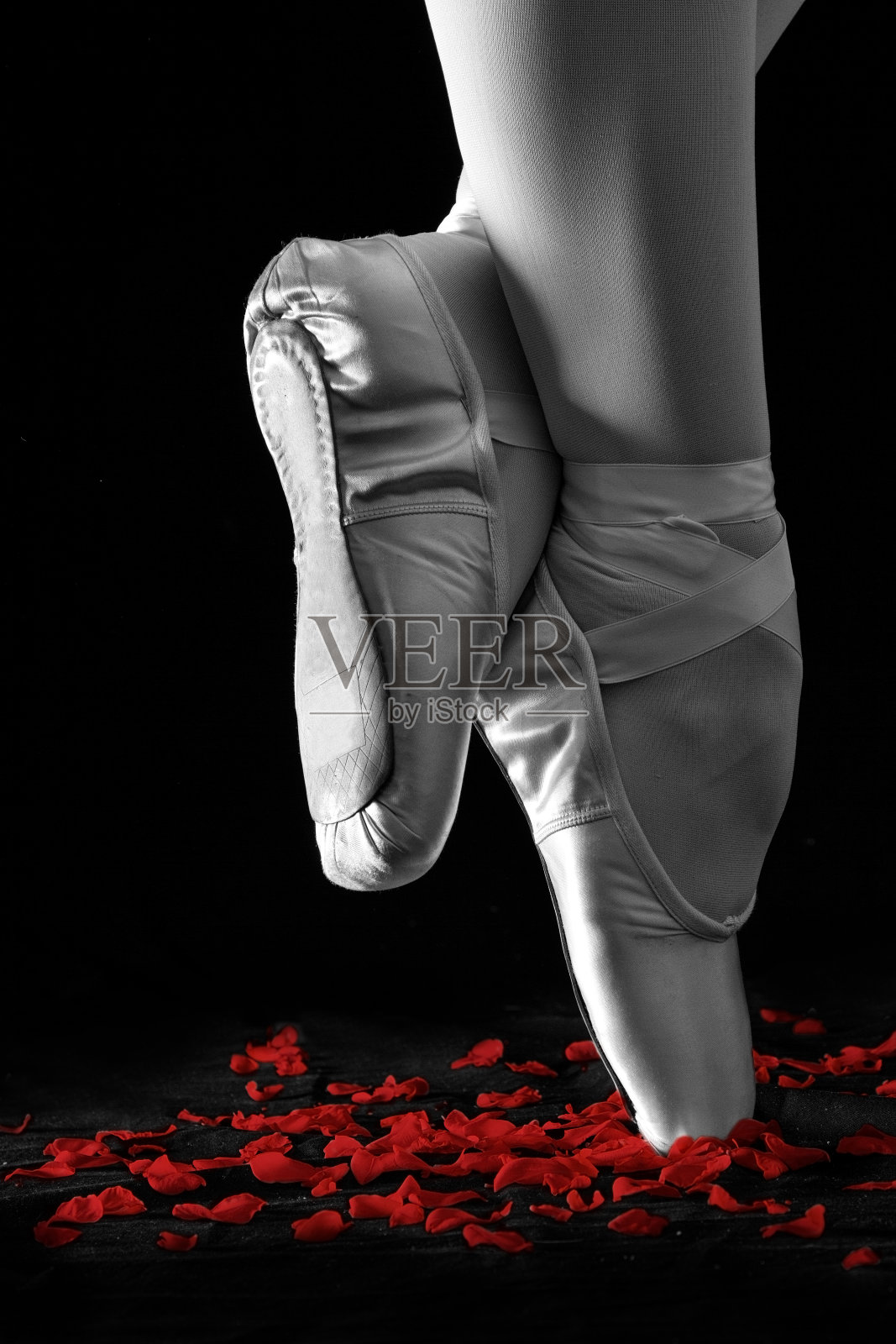 一个芭蕾舞者站在脚趾与玫瑰花瓣在黑色的背景艺术转换照片摄影图片