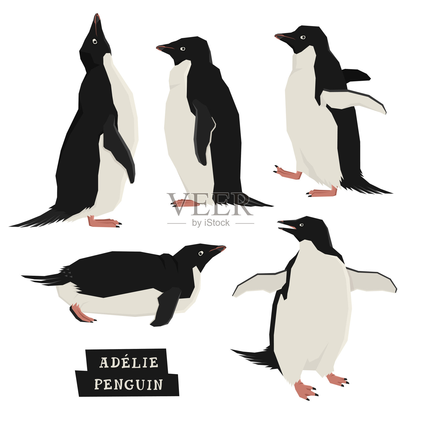 企鹅几何风格插画图片素材