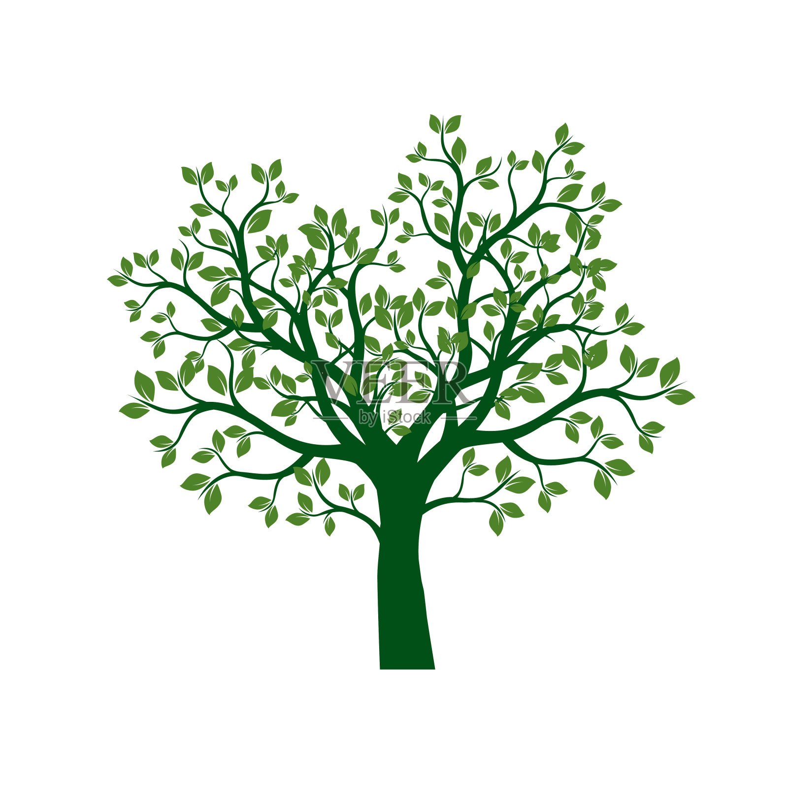 绿色的树和叶子。矢量插图。设计元素图片