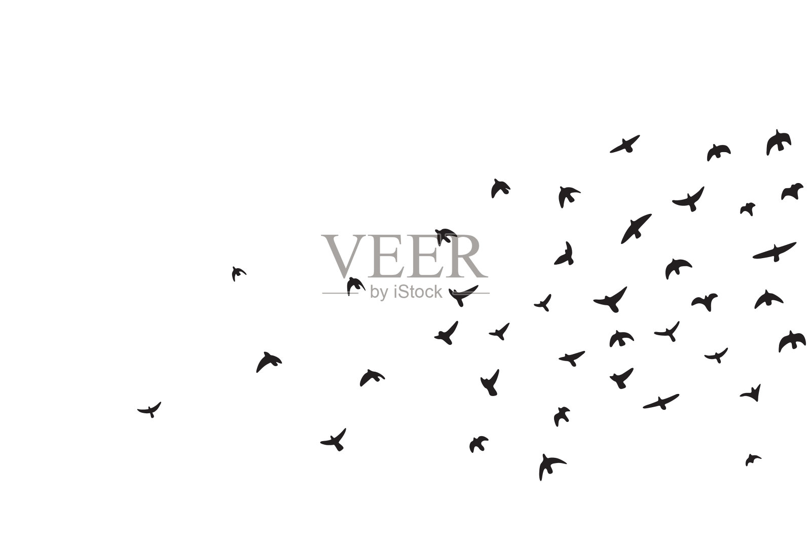 一群会飞的鸟插画图片素材