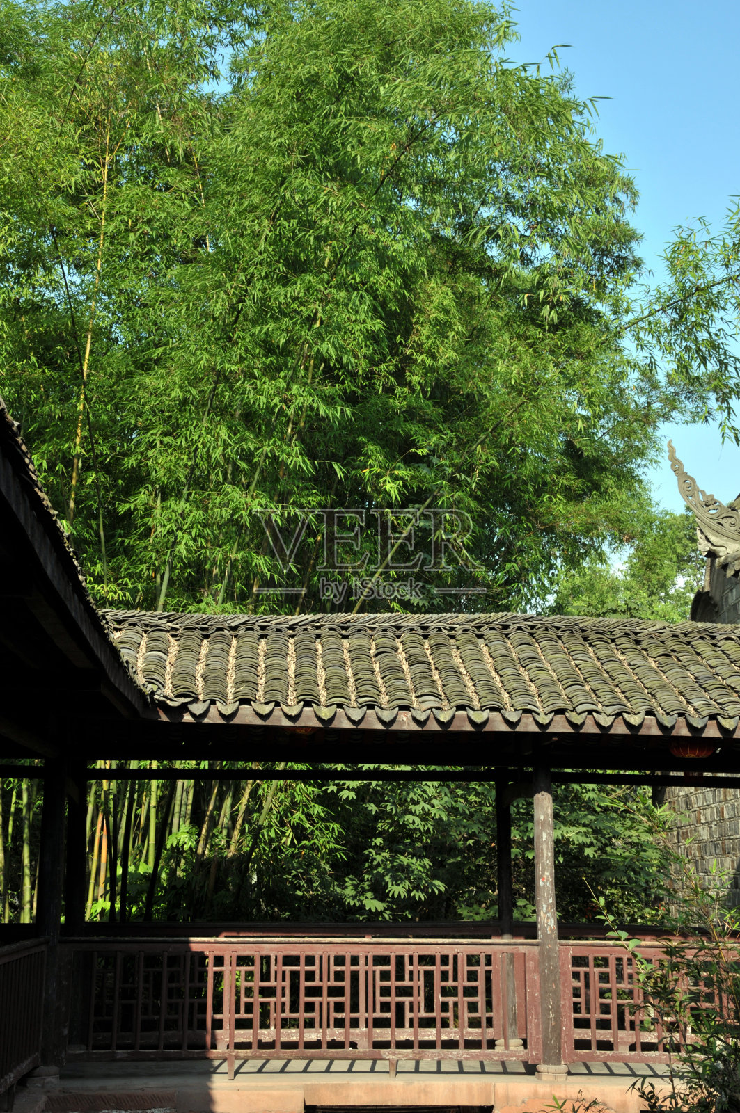 竹林中的老式中国风格木栏杆照片摄影图片