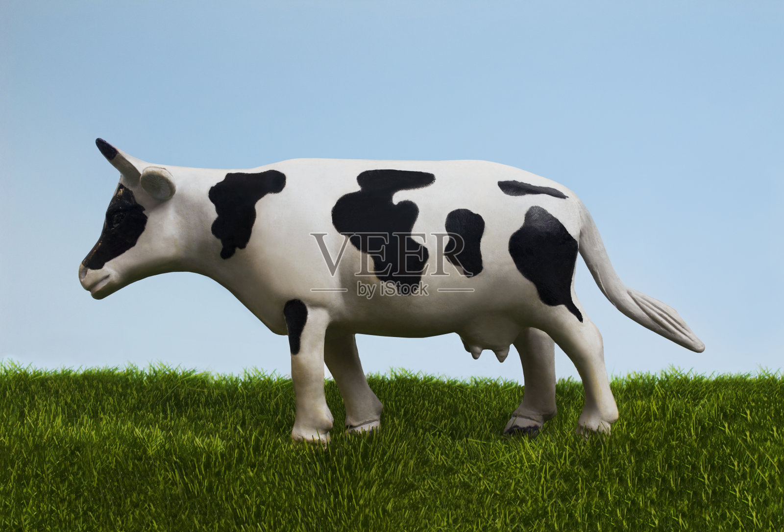 奶牛站在草地上。照片摄影图片