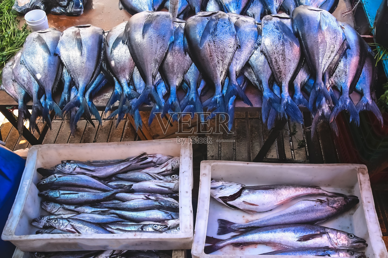 瓦尔帕莱索街头市场上出售的新鲜鱼照片摄影图片
