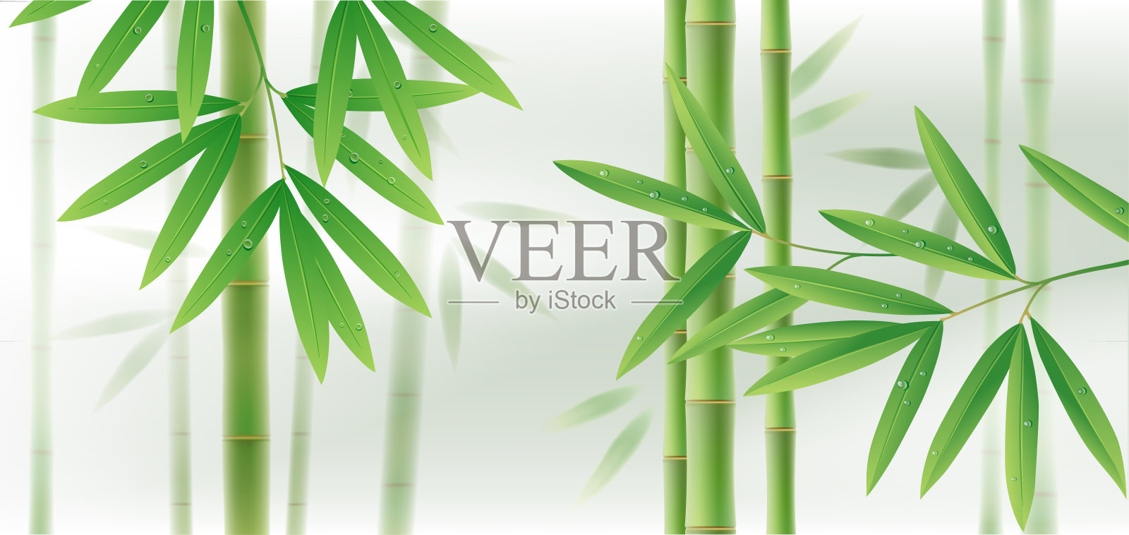 绿色竹水平背景与茎和叶在白色设计元素图片