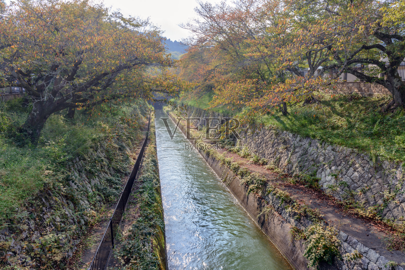 日本琵琶湖运河照片摄影图片