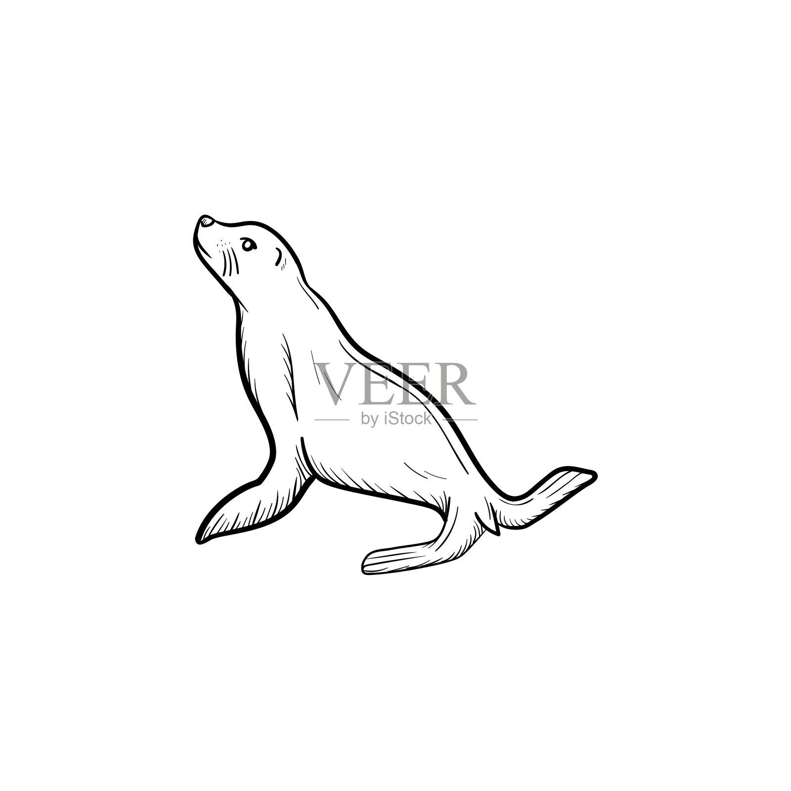 皮草海豹手绘草图图标设计元素图片
