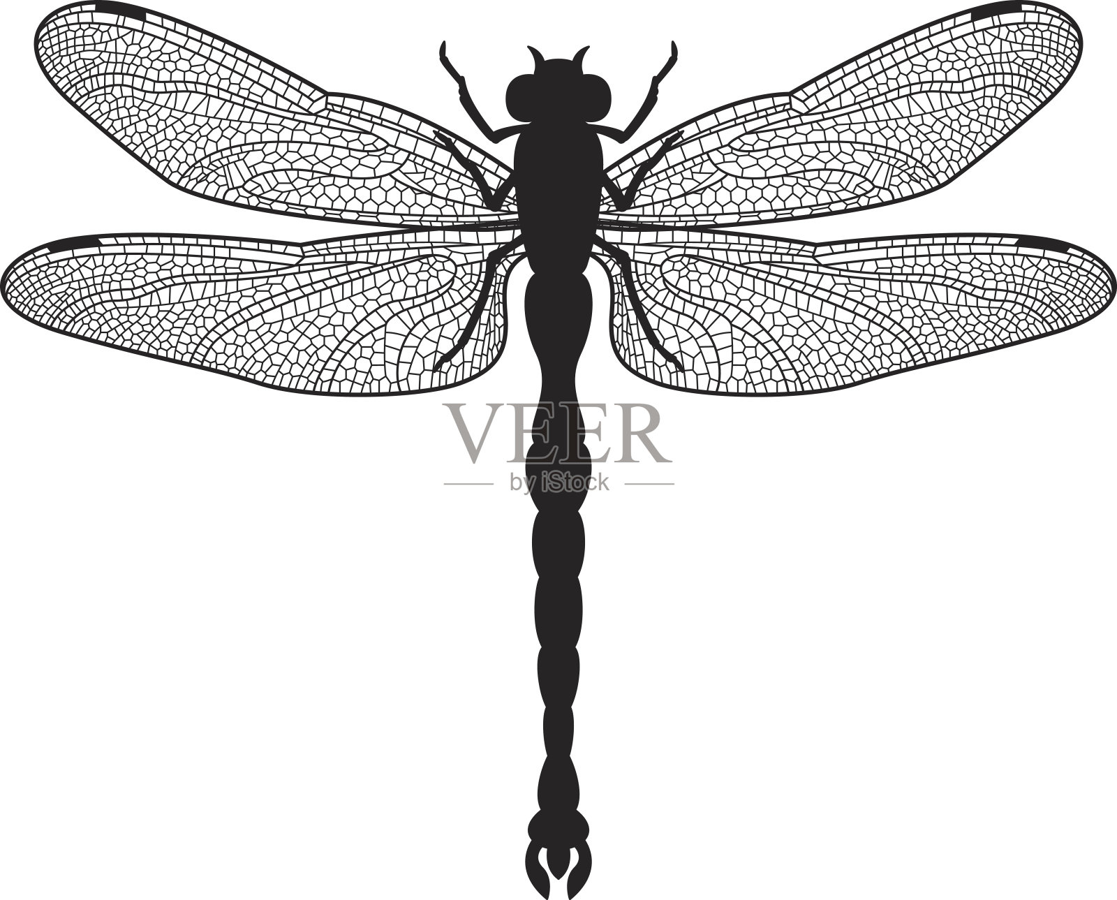 蜻蜓轮廓设计元素图片