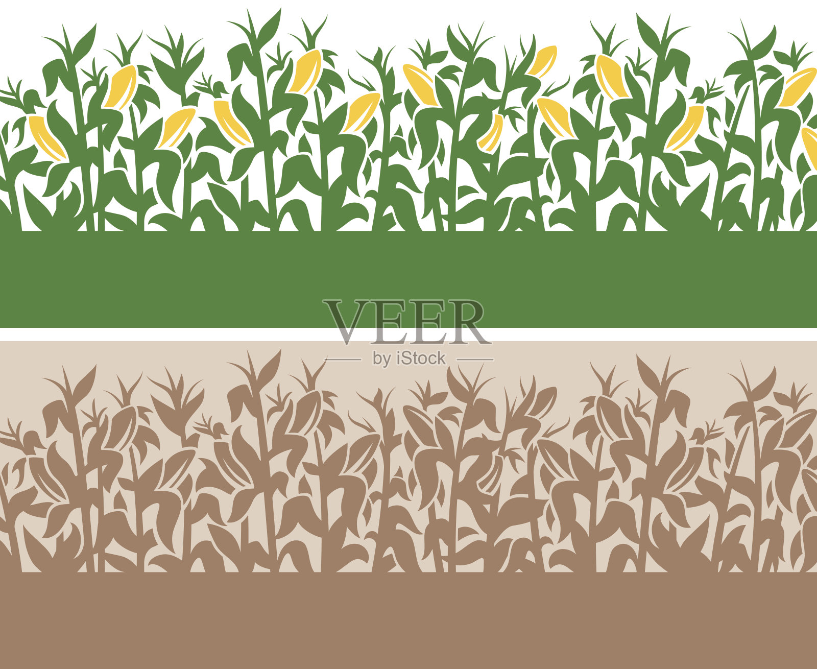 玉米的背景插画图片素材